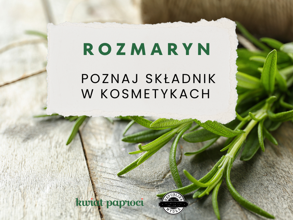 nagłówek do wpisu o rozmarynie, w tle gałązki zielone rozmarynu na białej kartce tekst rozmaryn poznaj składnik w kosmetykach